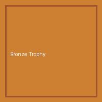 Badge di livello Bronzo Clipora